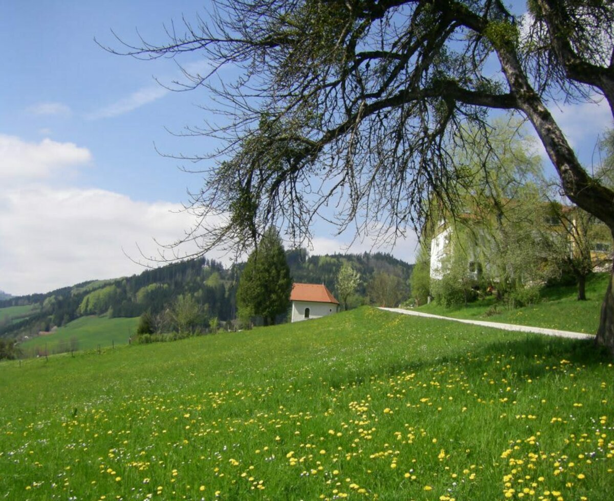 Fruehling im Pechgraben