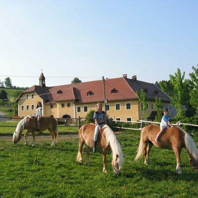 Ohne Sattel auf Haflinger