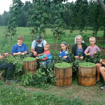 Fam. König bei der Hopfenernte