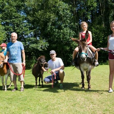 Pony Cindy, Minishetty Moritz und Esel Sissi