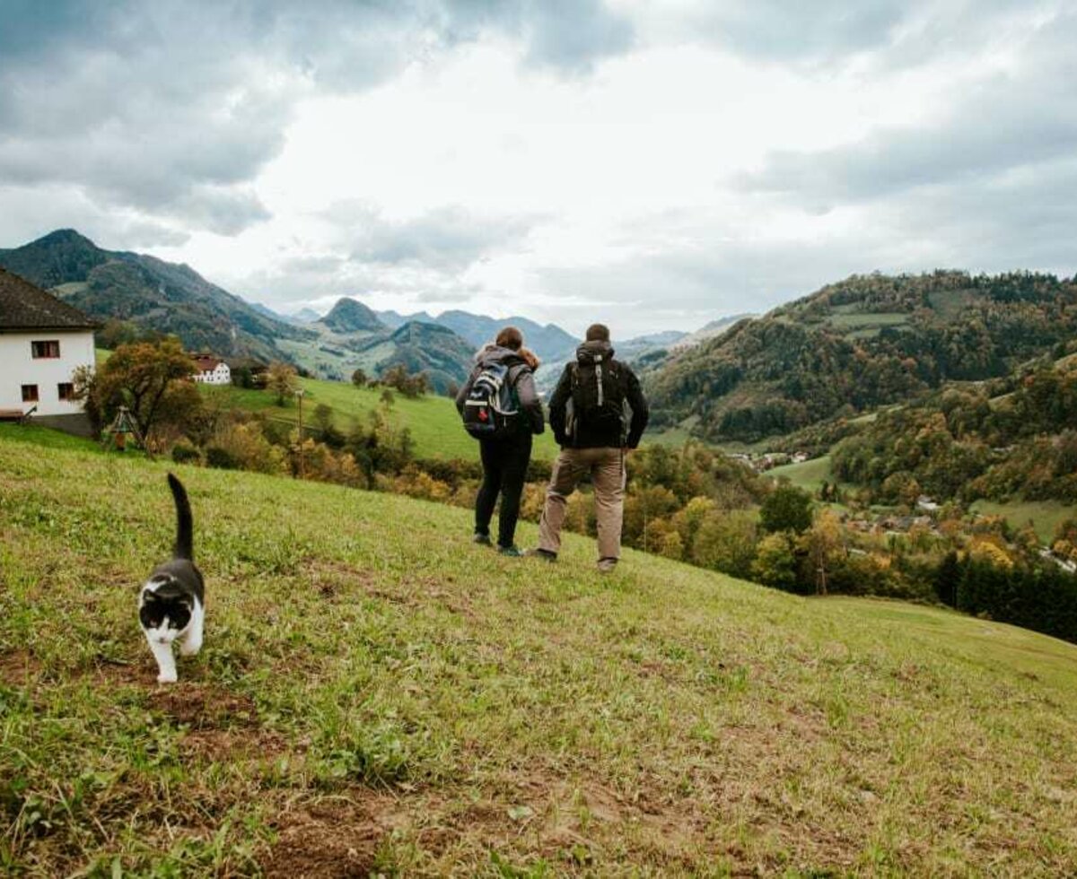 ME- Wanderung mit Blick in das Tal