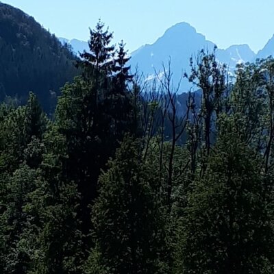 Aussicht auf die Spitzmauer