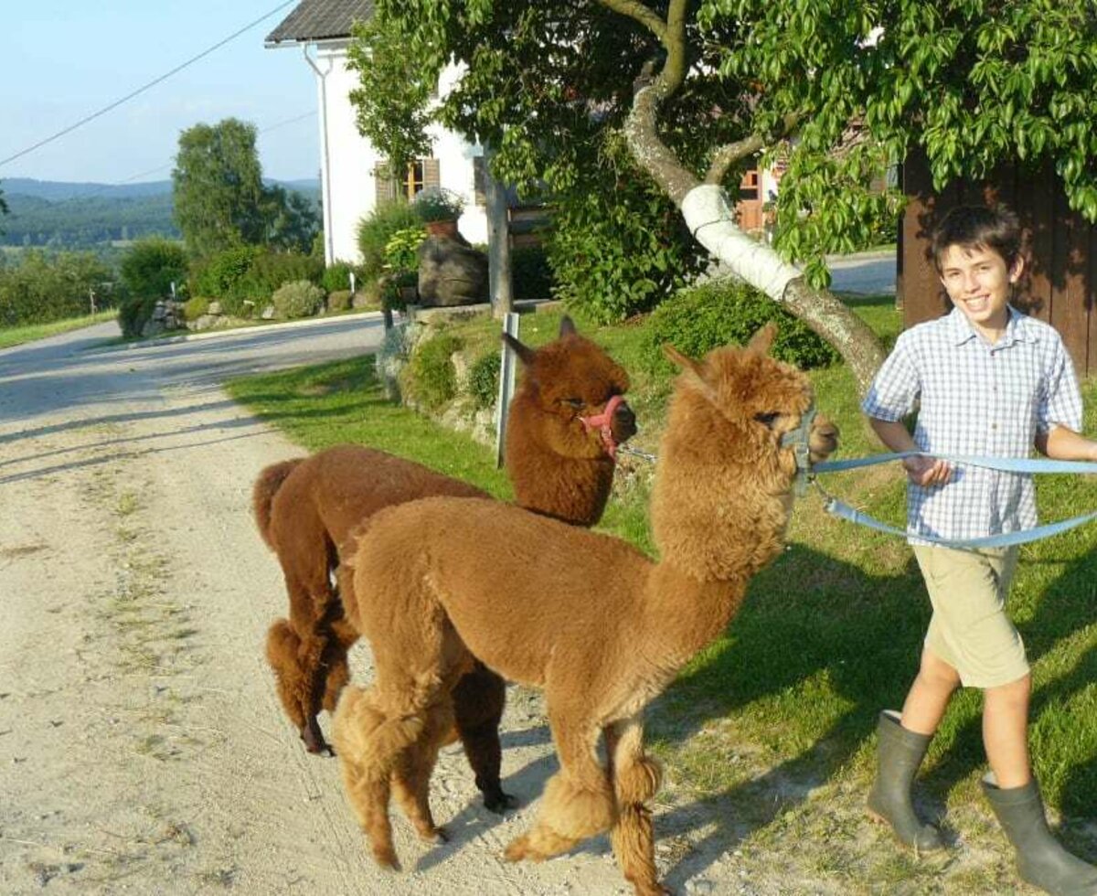 Lorenz mit Momo und Boris