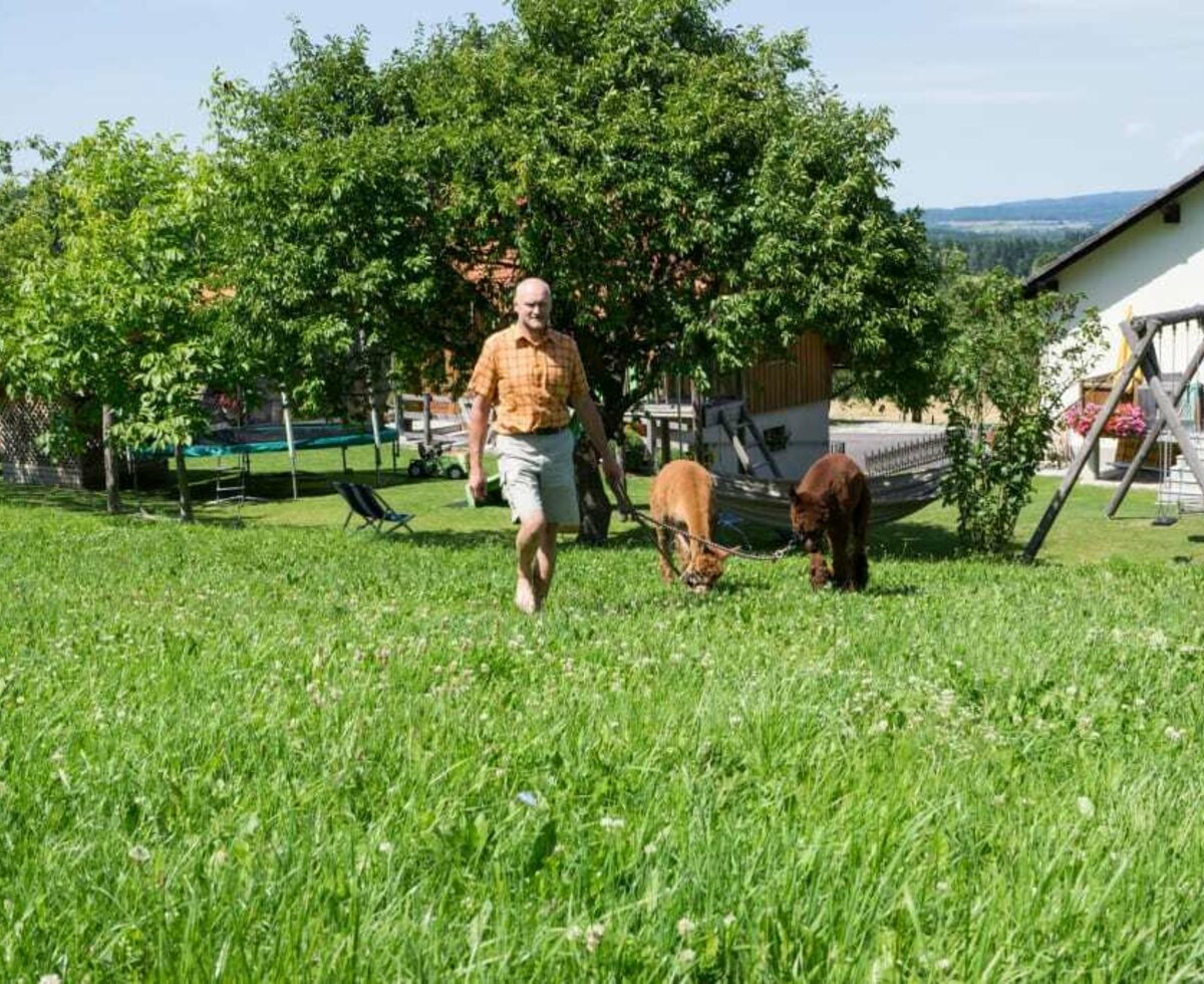 Bauer Karl mit Momo und Boris