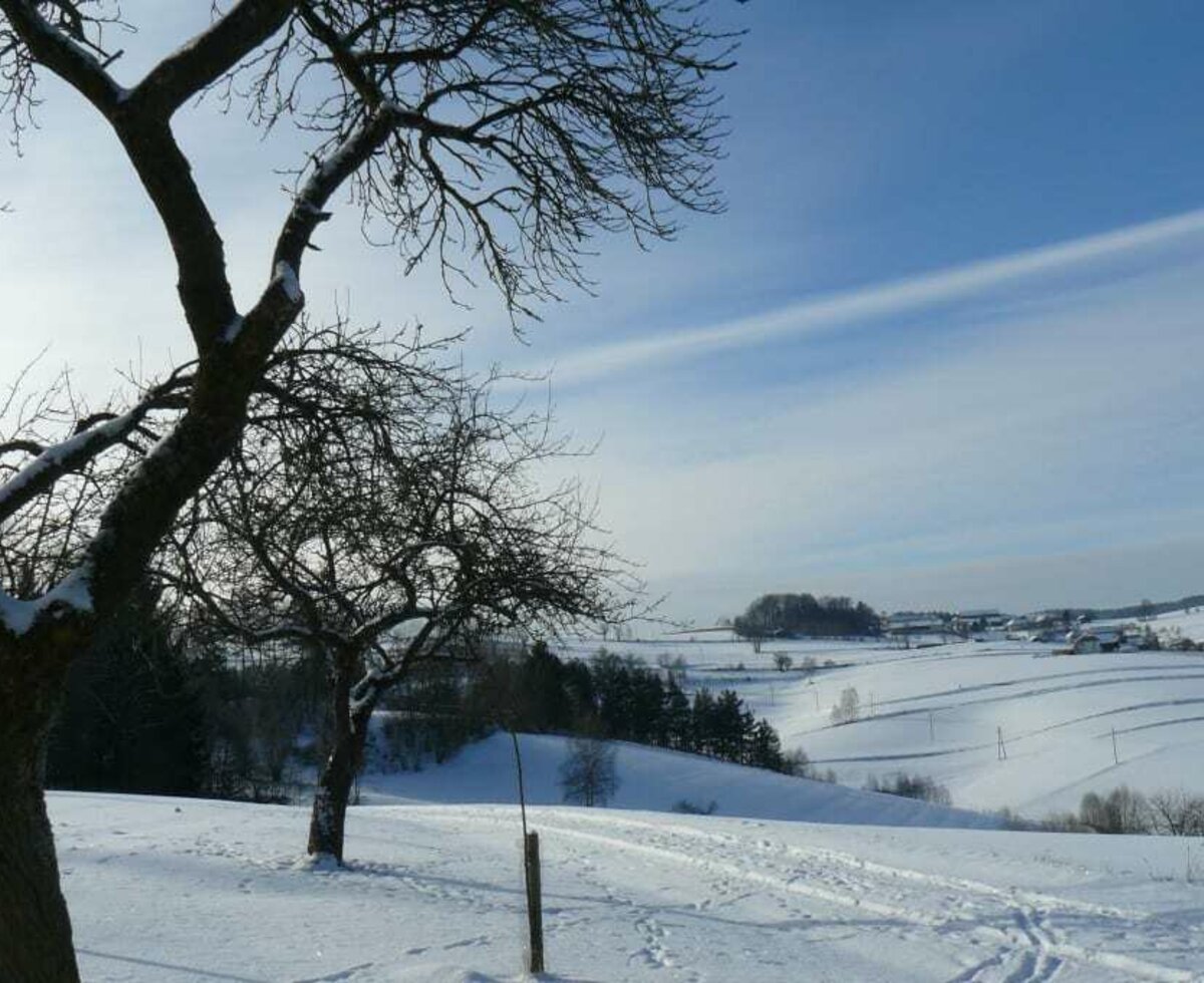 Blick ins Dorf