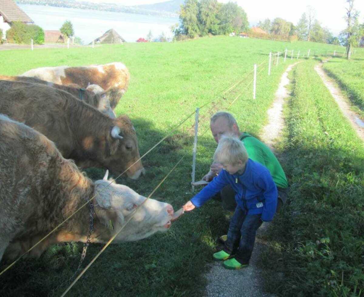 Christian und Laurenz bei unseren Weideochsen