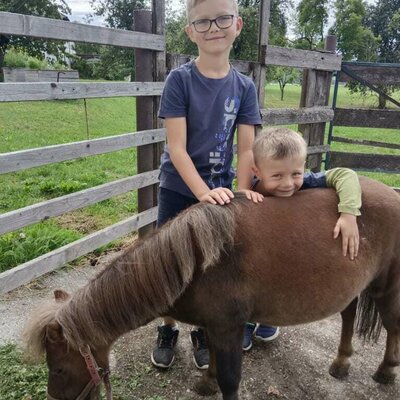 Harri unser süßes Mini-Shetland Pony