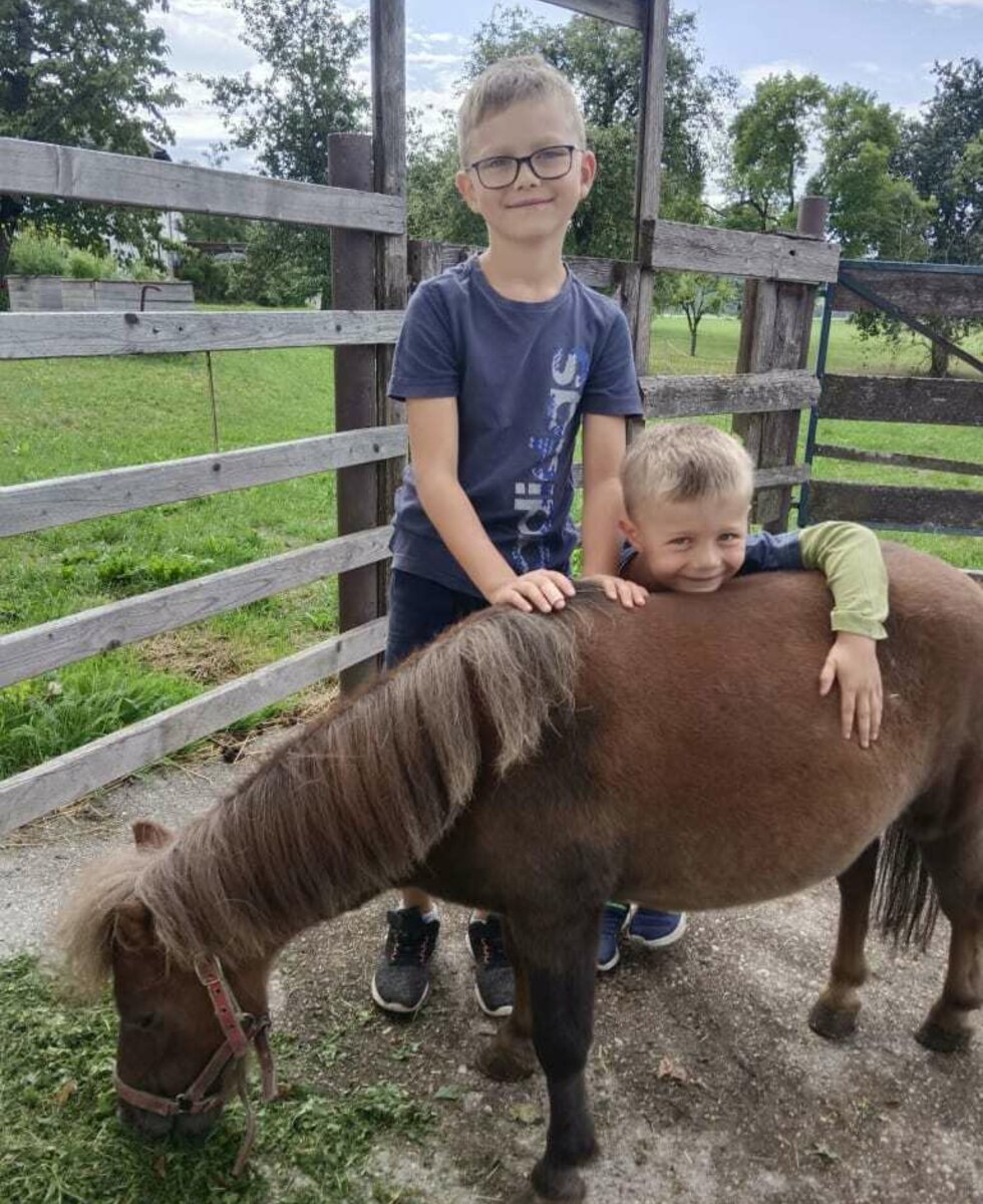 Harri unser süßes Mini-Shetland Pony