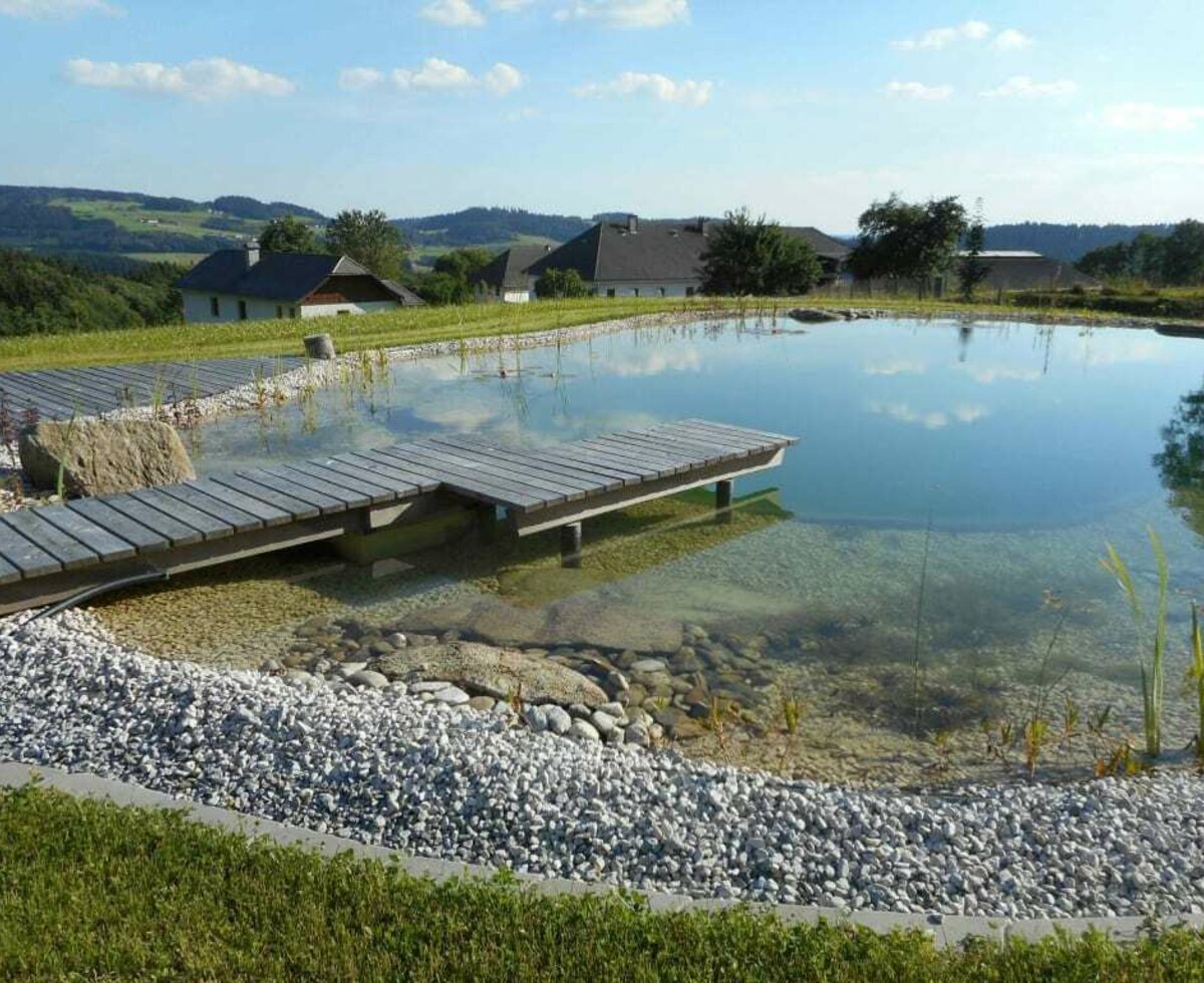 Badevergnügen im Schwimmteich am Nussbaumerhof