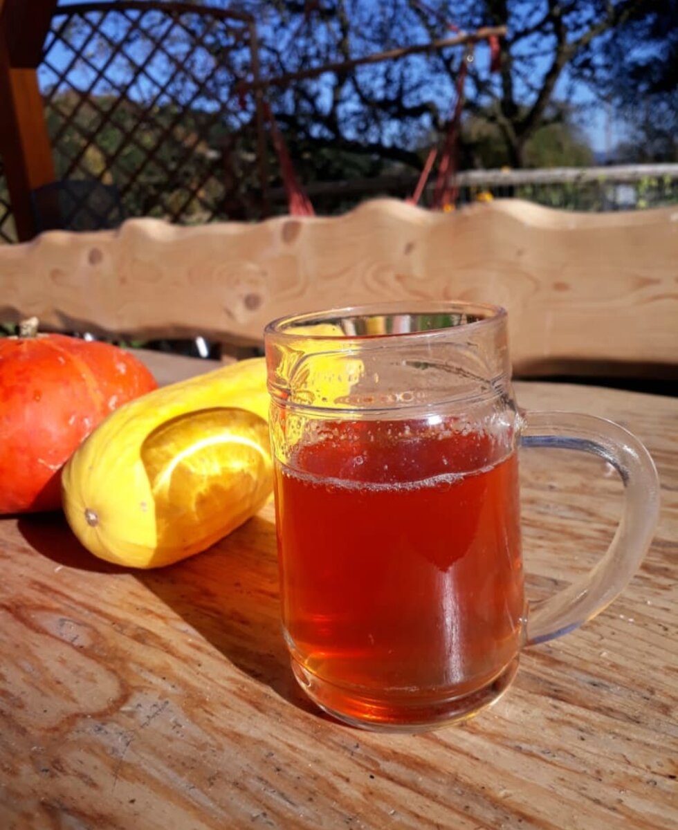 Selbstgemachte Säfte (Apfelsaft)