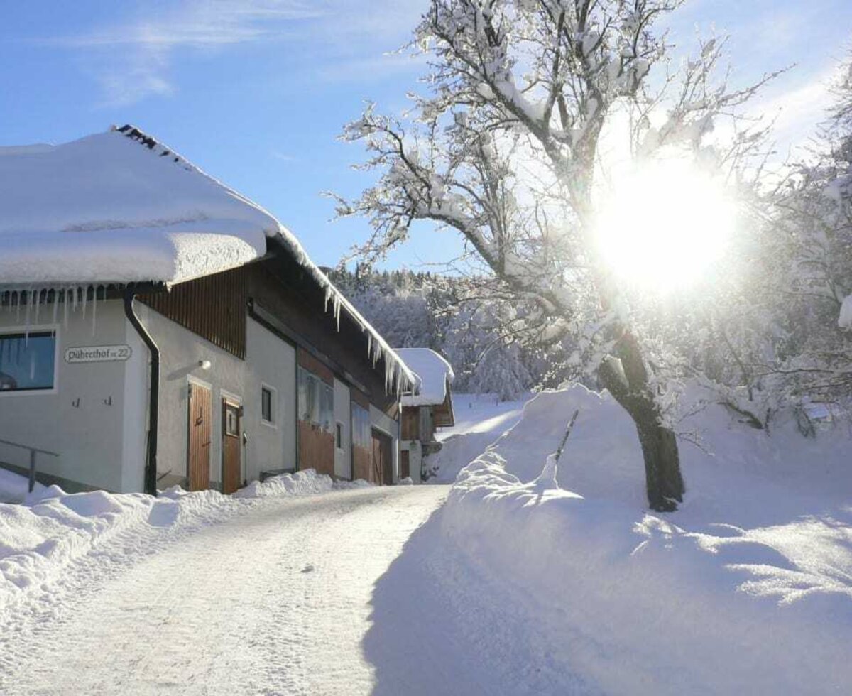 Erster Eindruck von unserem Hof im Winter