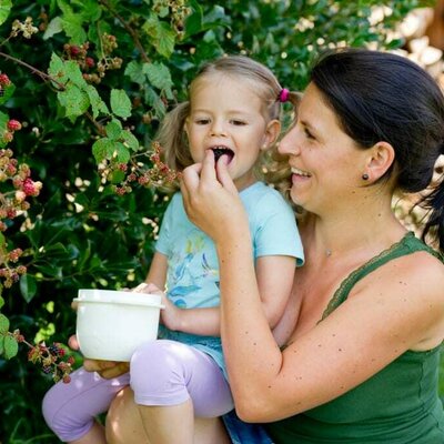 Diese Brombeeren sind aber lecker!