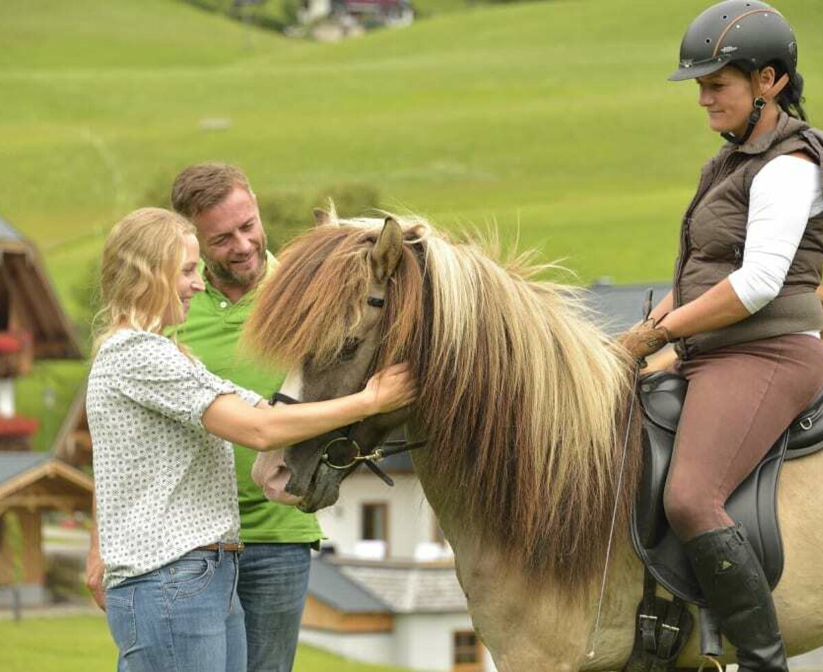 Unsere Islandpferde