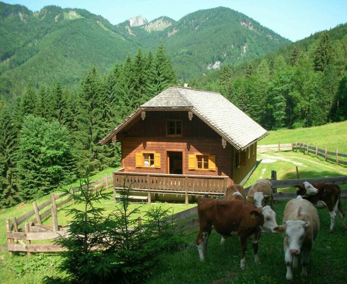 Almhütte am Schwarzensee