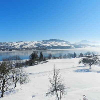 wunderschöne Winterlandschaft