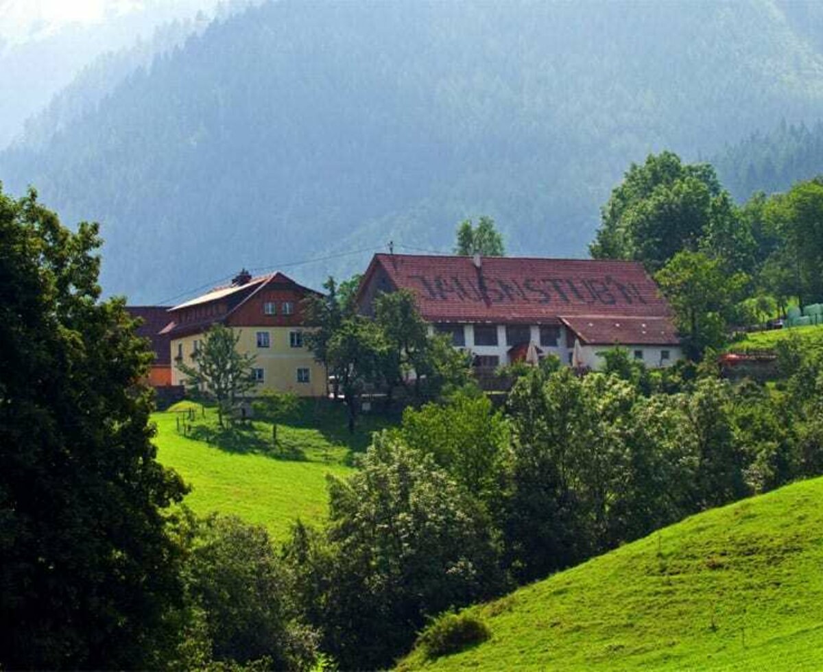 Bauernhof Singerskogel im Sommer