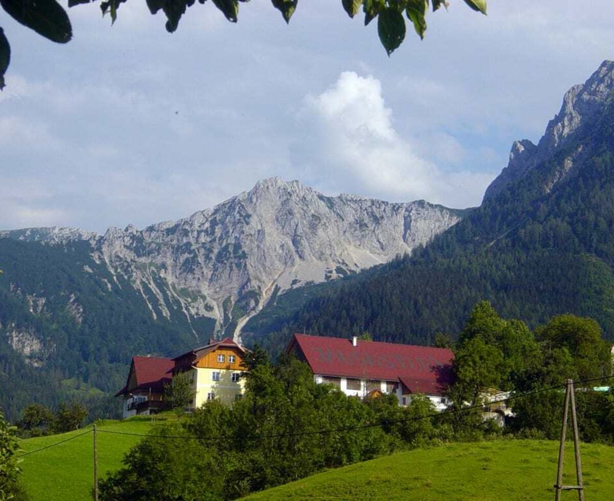 Singerskogel im Sommer