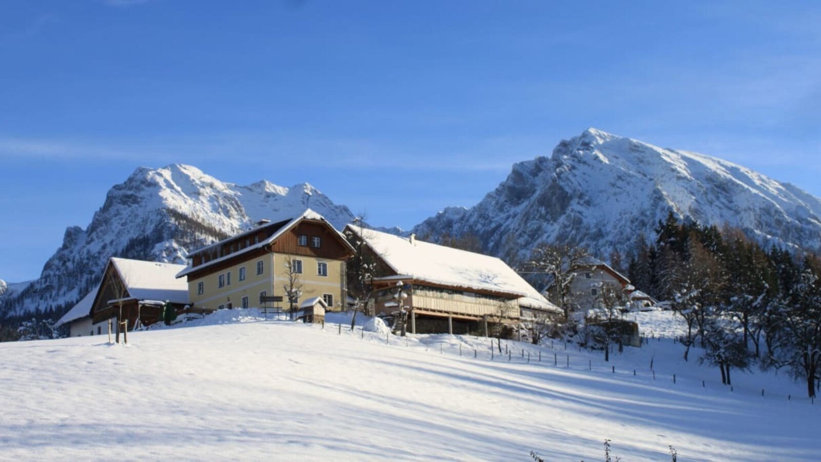 Singerskogel im Winter