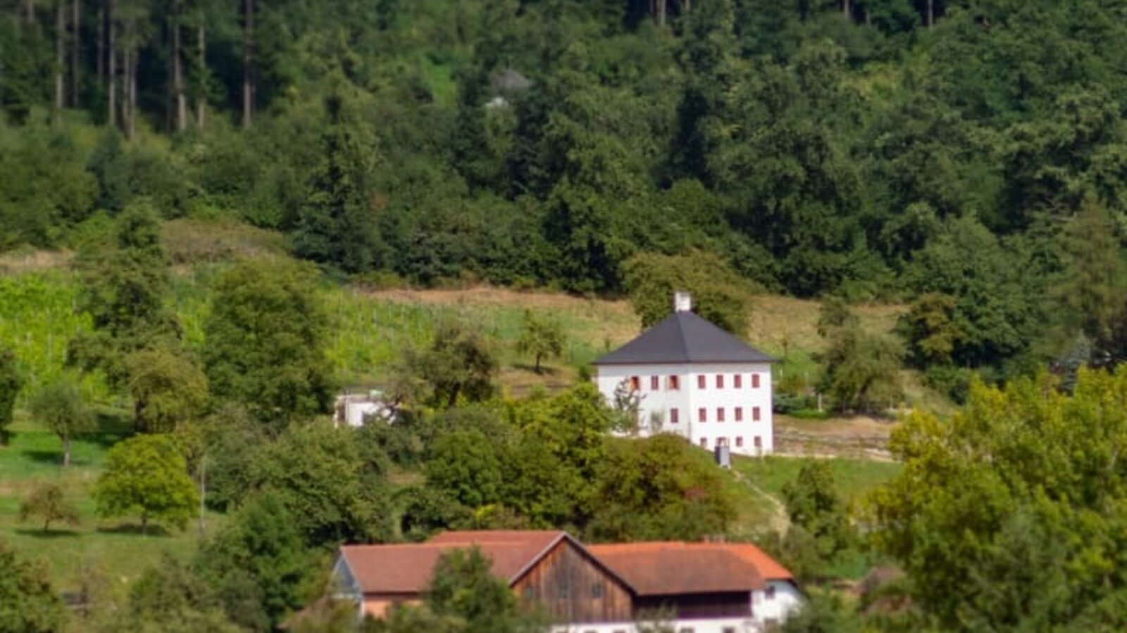 Trattnachtaler Weinhaus