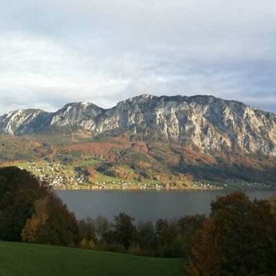 Blick auf den Attersee