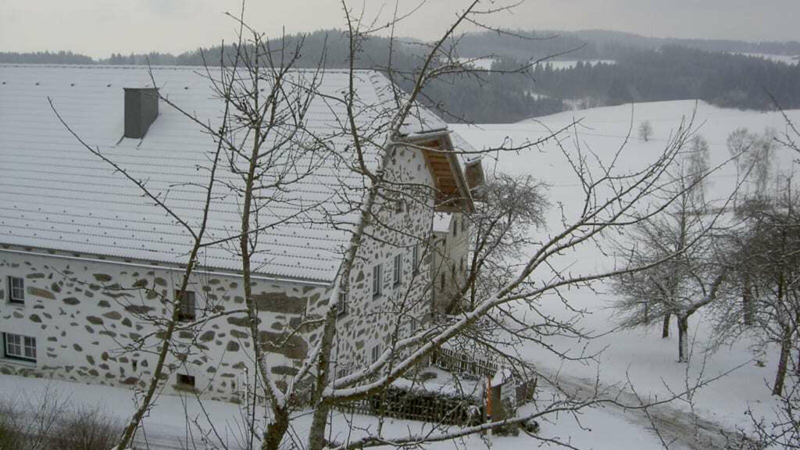 Blick auf den Dreiseithof im Mühlviertler Steinbloßstil