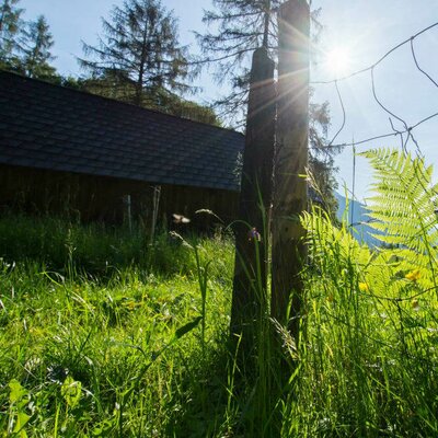 Stadl in Schafweide