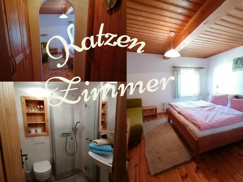 KatzenZimmer