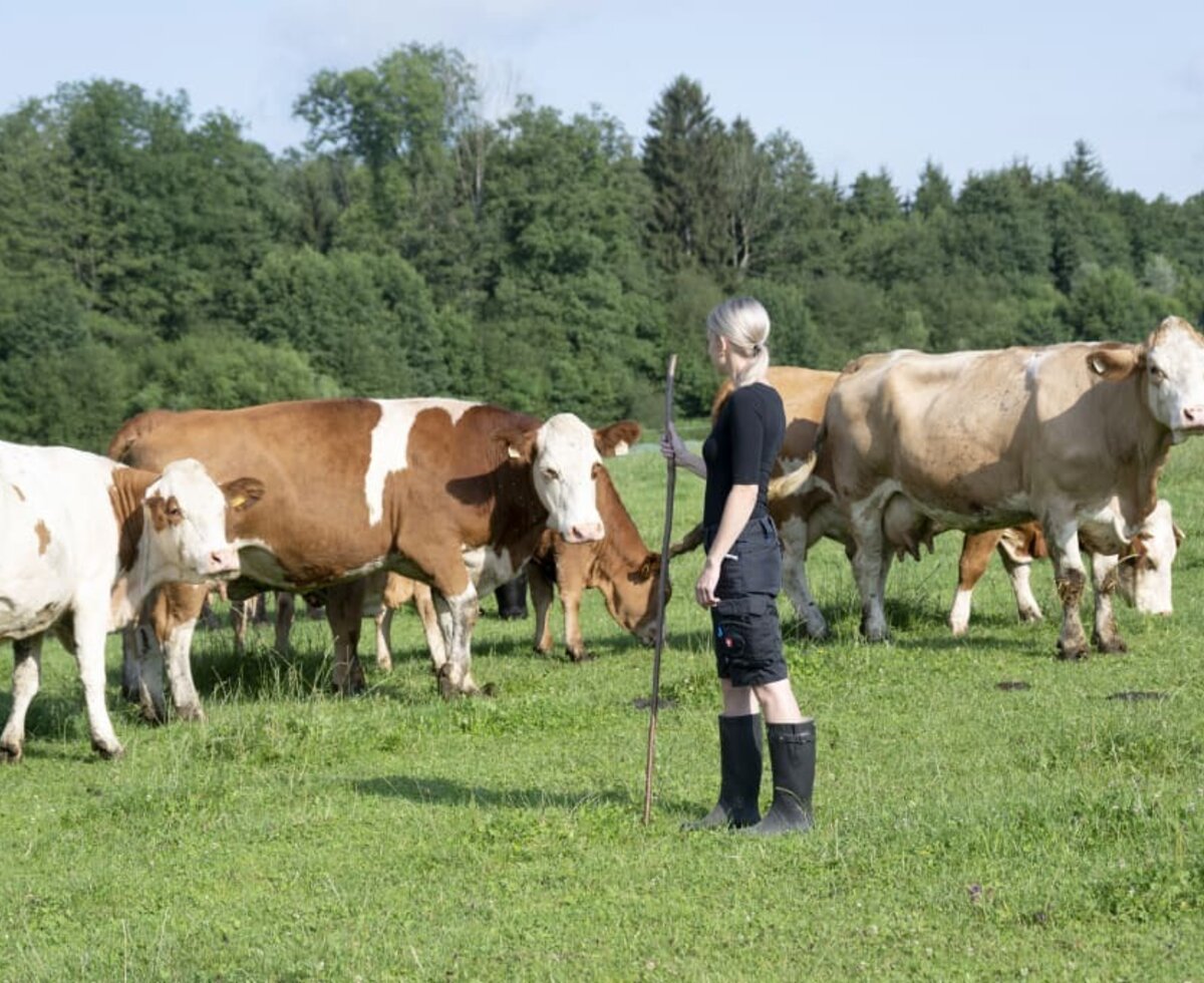 Bäuerin Patrizia bei den Kühen auf der Weide 