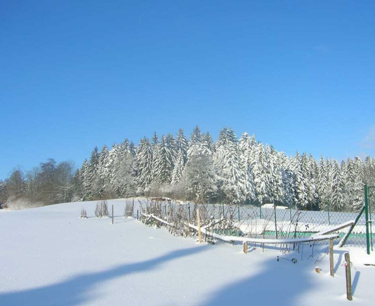 Winterlandschaft