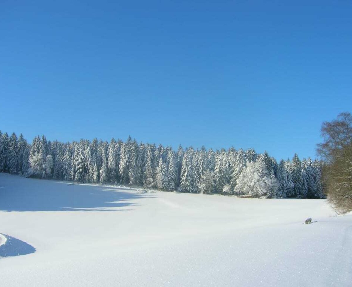 Winterliche Aussichten