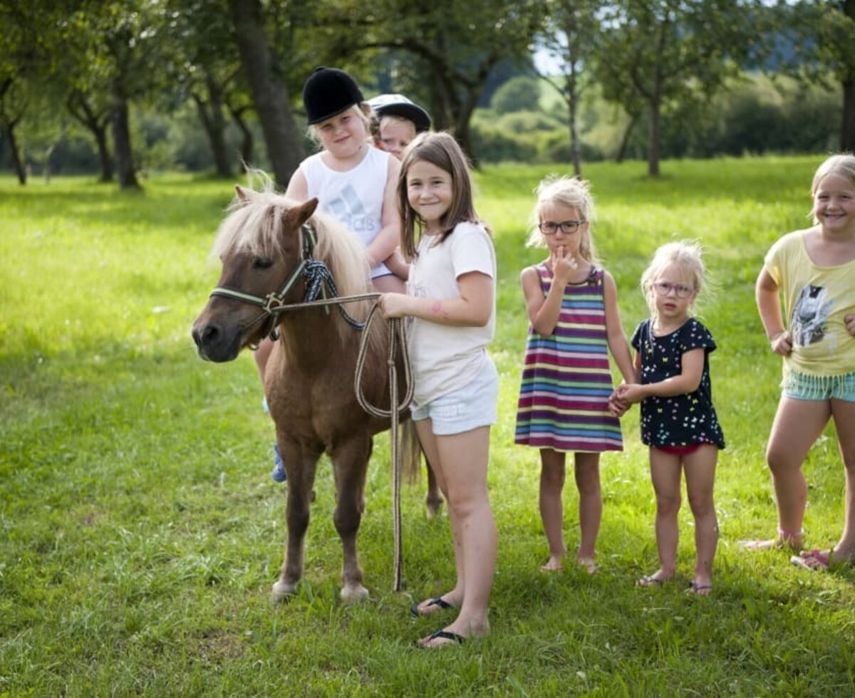 Pony "Xaverl" mit einer Mädels-Rasselbande