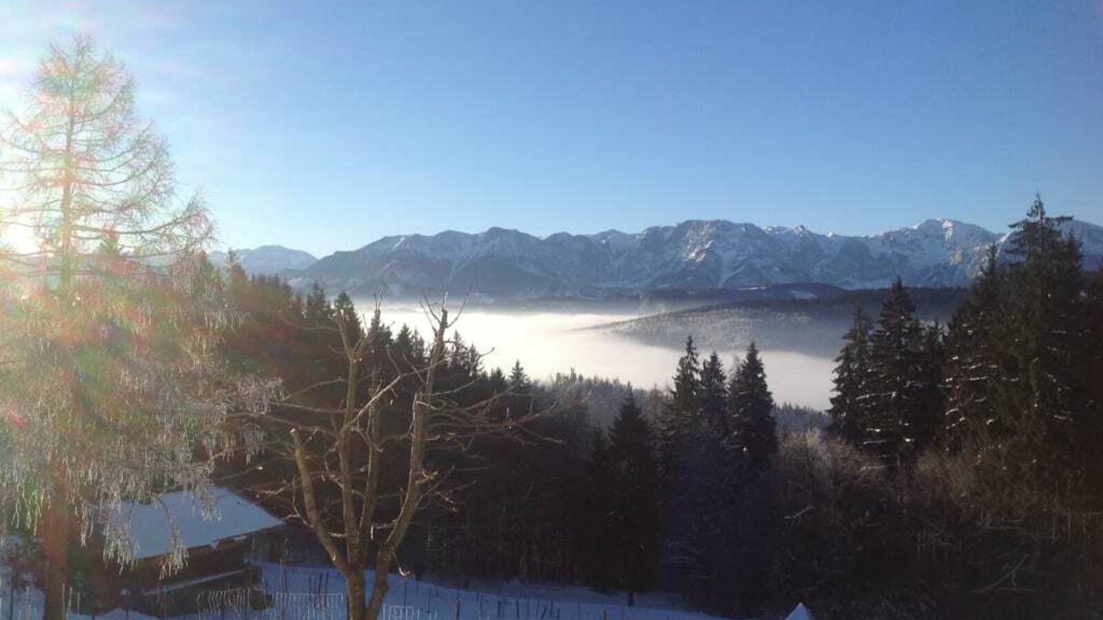 Blick auf die Alpen im Winter