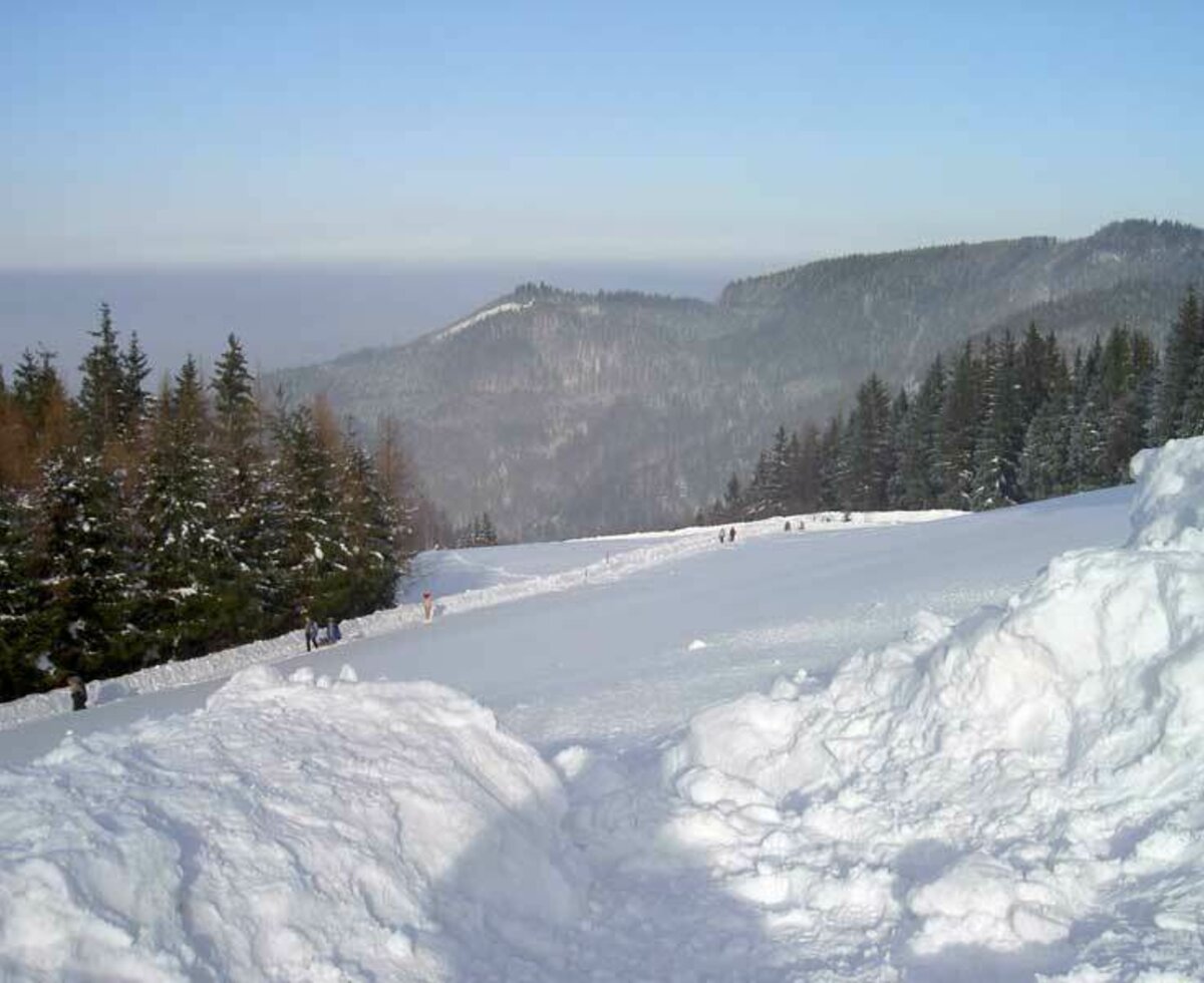 Winterwanderung am Hongar