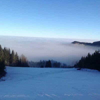 Hongar im Winter - Über dem Nebel