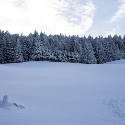 Winter am Angerlgut