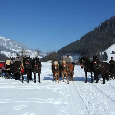 Pferdekutschenfahrten im Winter