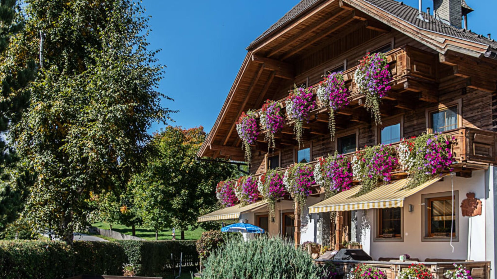 Außenansicht Sommer Bacherhof