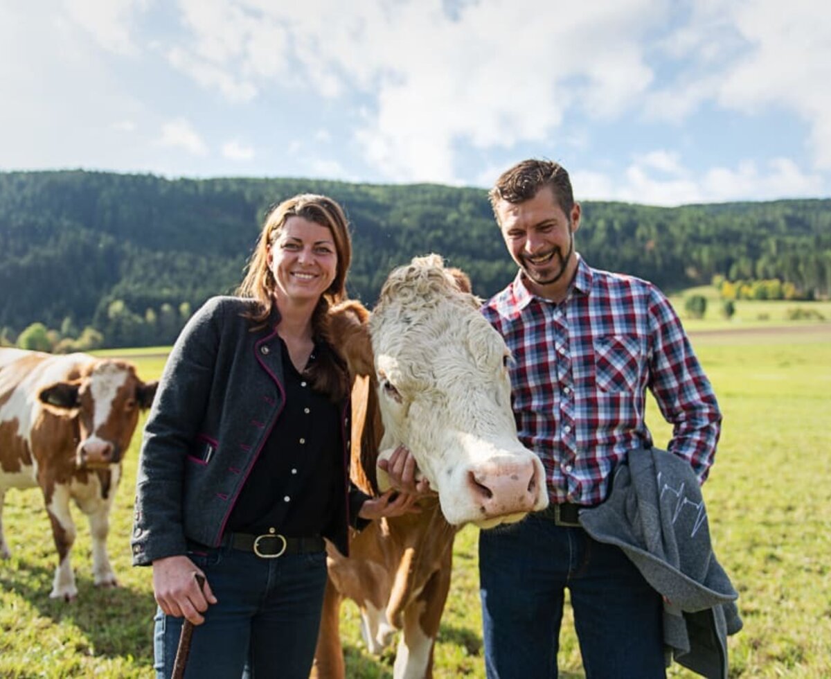 Auf der Weide bei den Kühen