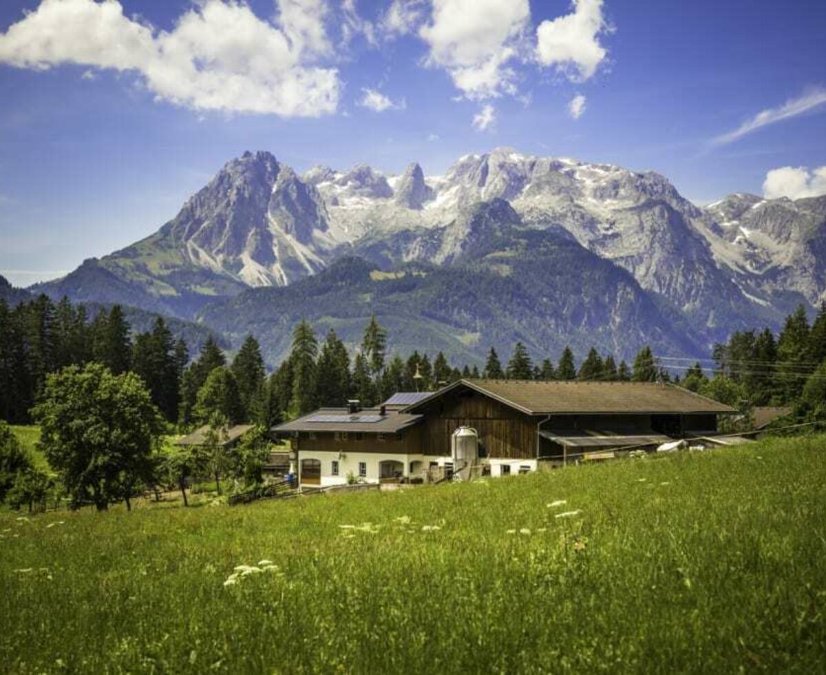 Schöne Lage vom Bauernhof