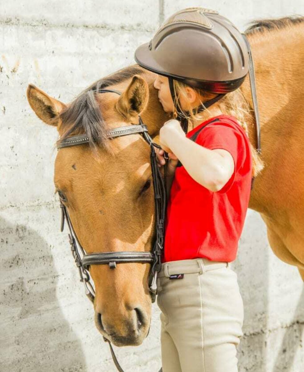 Reiten