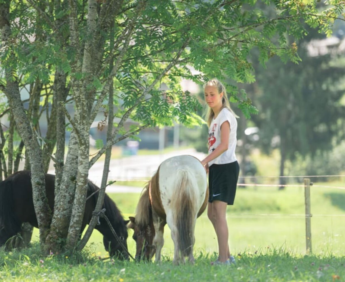 unsere Ponys beim Grasen