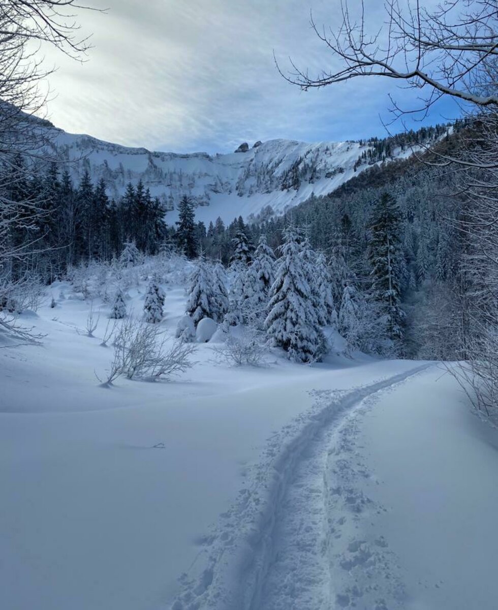 Schitouren-, Schneeschuhwanderung @Kloiber