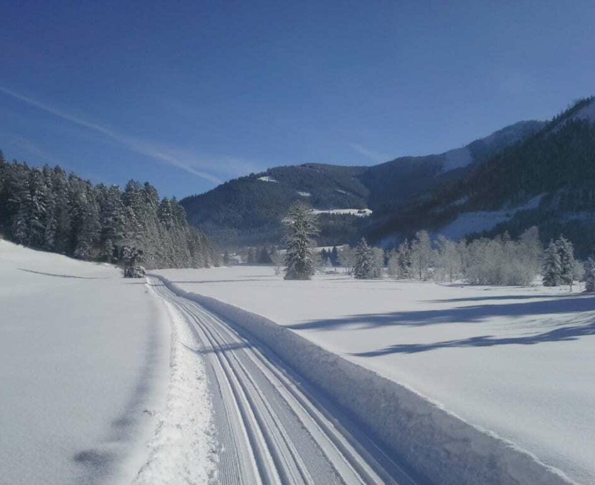 Langlaufloipe Faistenau (c) TVB Faistenau