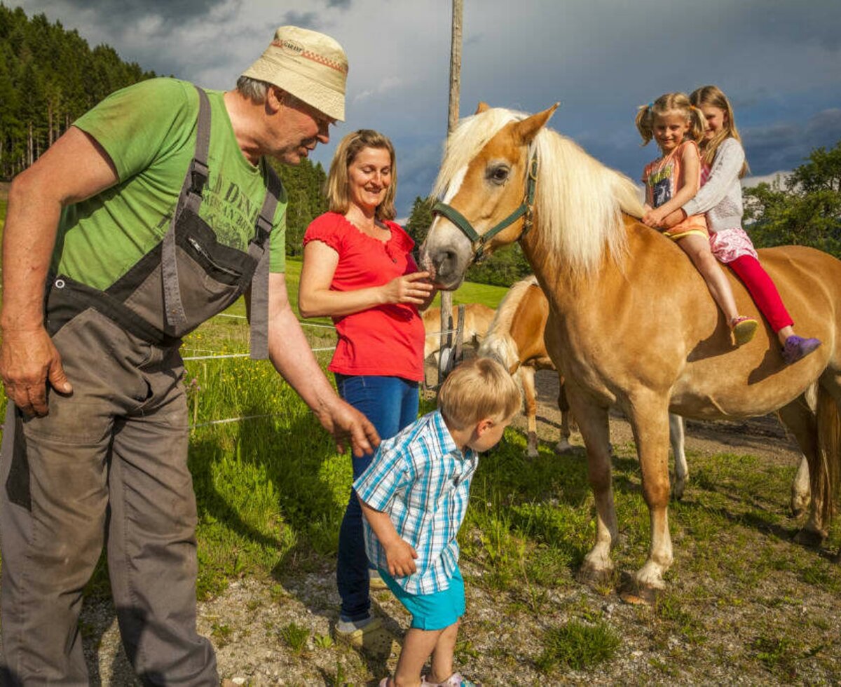 Die Gastgeberfamilie