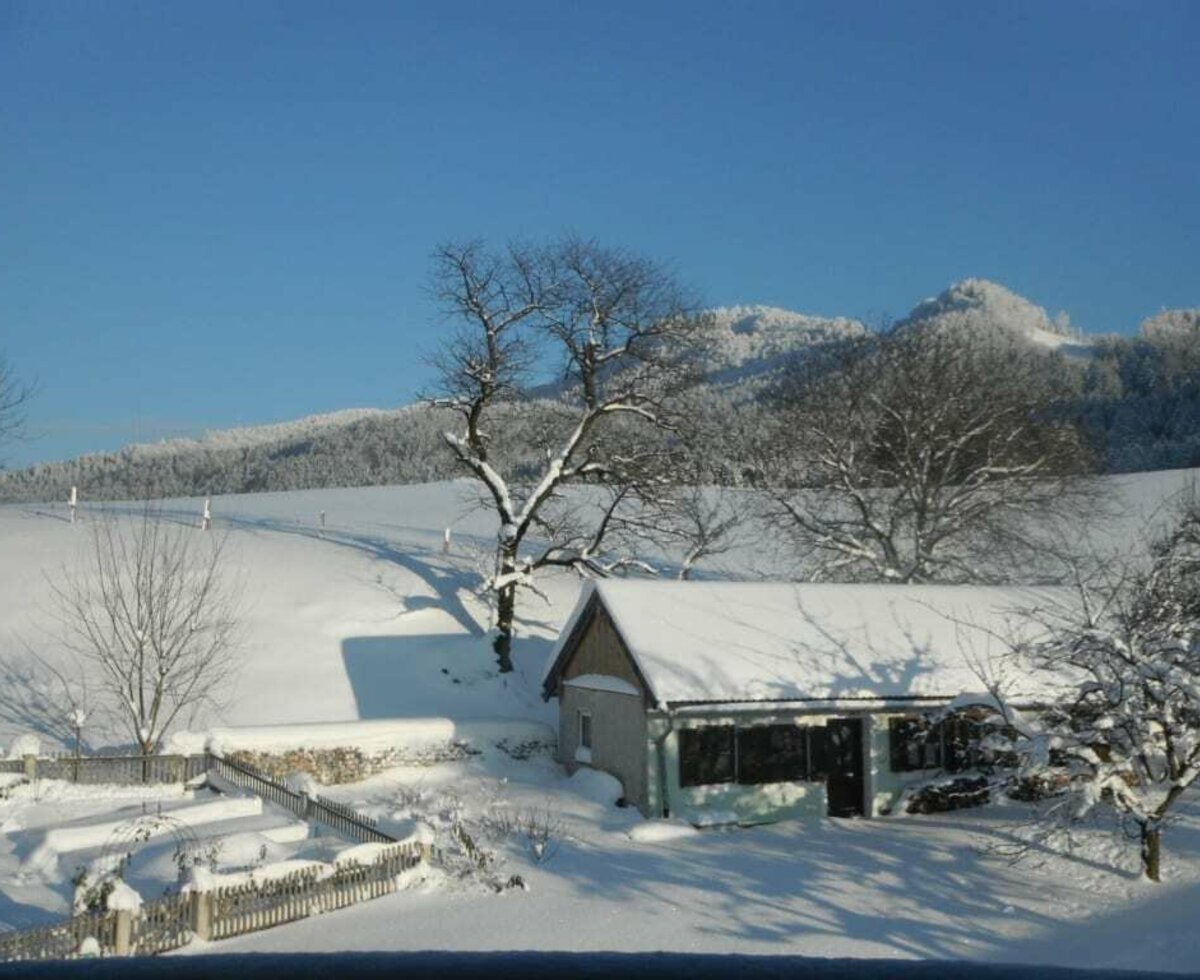 Winter-Gartenblick