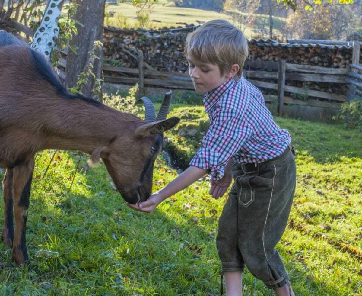 Tiere füttern und streicheln