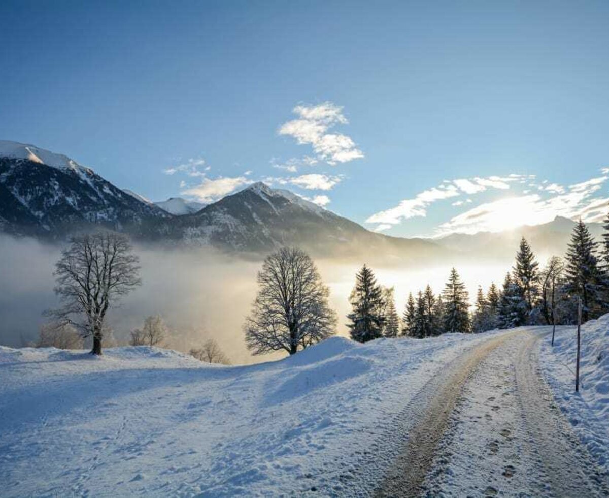 Biohof Maurachgut - Winterurlaub in den Bergen