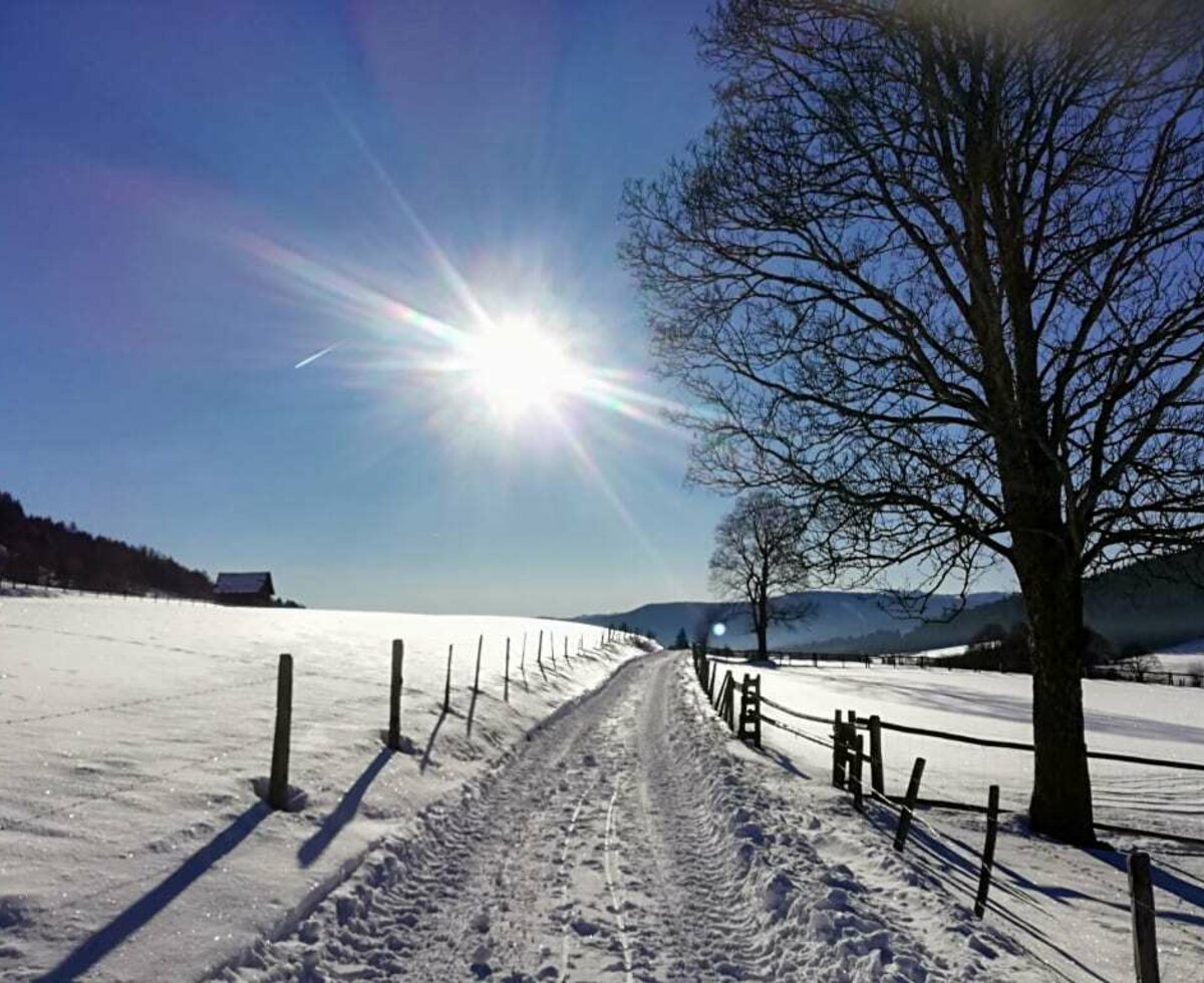 Winterlandschaft