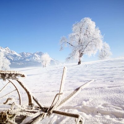 Winterlandschaft (c) Dominik Wartbichler