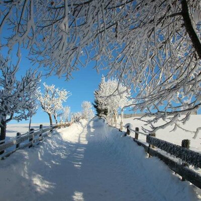 200 Meter Fußweg zum Berggasthof Winterbauer